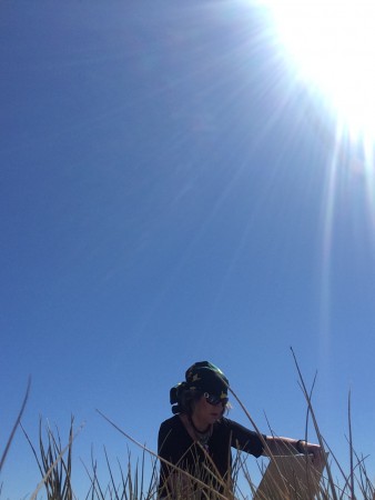 GALERIE / CV **********  E.C PEINTRE DEPUIS 2005 *********